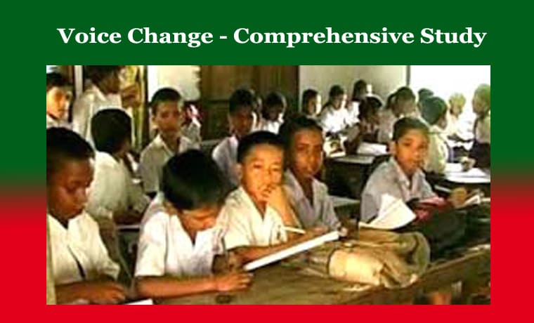 Voice Change - Comprehensive Study 1 Voice Change - Comprehensive Study